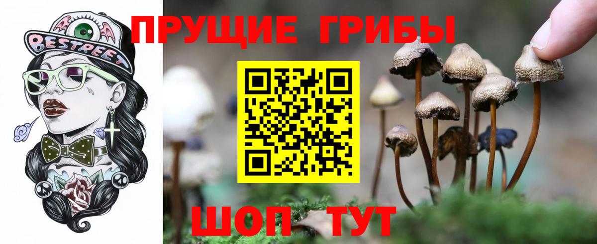 Псилоцибиновые грибы Magic Shrooms  Галлюциногенные грибы GOLDEN TEACHER  Вход с VPN  Корсаков 